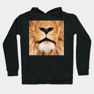 lion Hoodie